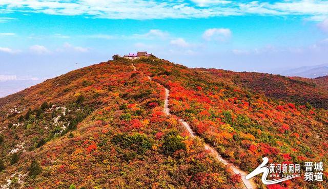 浮山红叶映云海 仙境美景引客来
