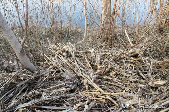 这一次外出闲游感慨颇多