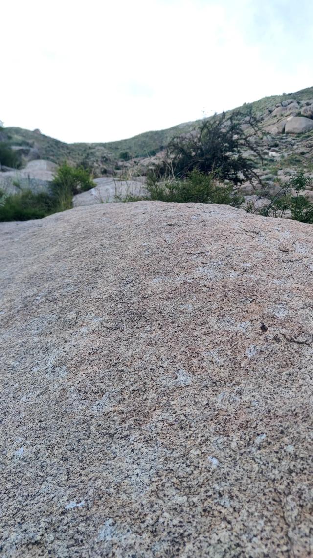 两登拉萨色拉寺后山，上升600米，山顶海拔4200米，经幡飘扬
