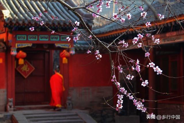 南部县寺外桃源景区：景村-乡镇-片区联动助力南西盐三县文旅发展