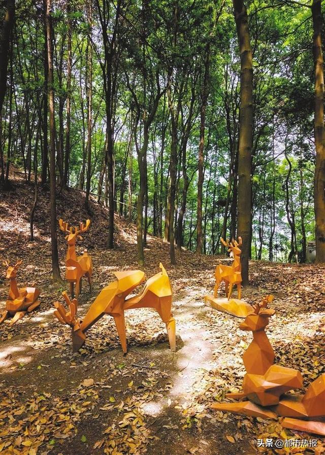 厢遇耍市丨本周日这三场活动，酷！甜！牛！