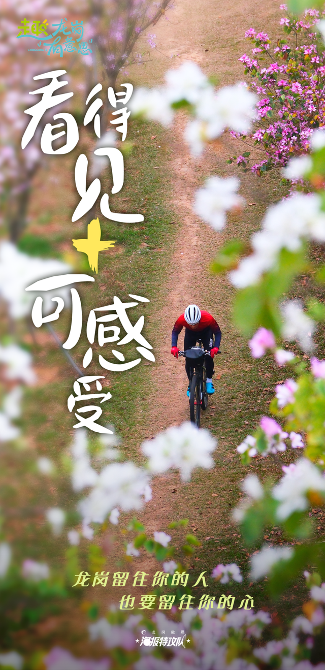 真没想到，你竟是这样的龙岗！
