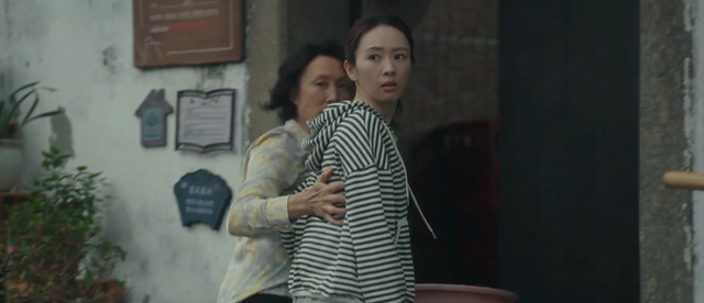 央视八套开播！36集家庭大剧来袭，全员实力派，观众：拉满期待值