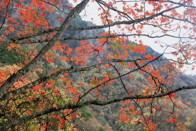安康南宫山：五彩秋色惹人醉