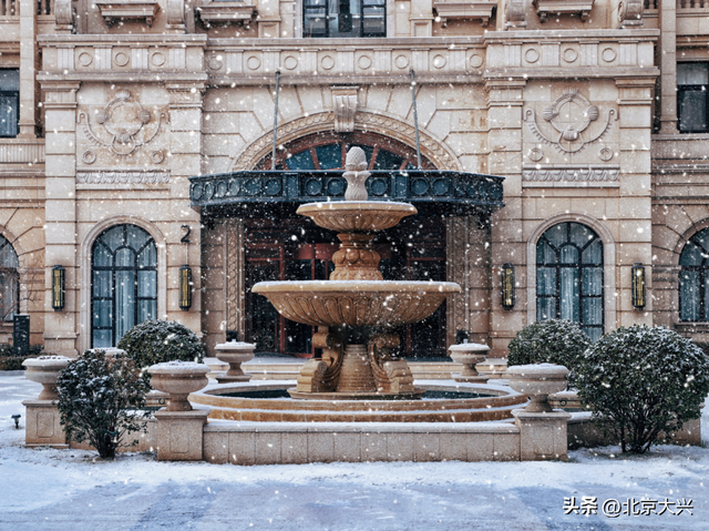 大兴初雪倒计时！5个宝藏赏雪点位，提前收藏——