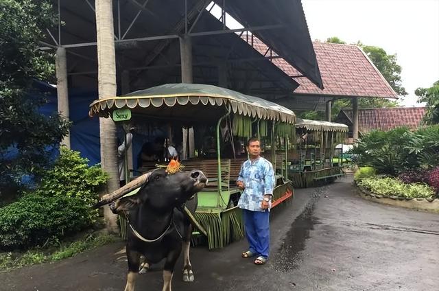 乡野水庄的西班牙庄园