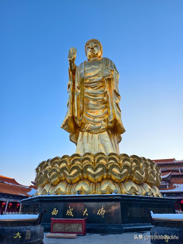 新疆乌鲁木齐红光山大佛寺