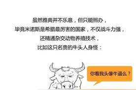 今天整合了一个欧洲史，给大家好好聊一聊欧洲的历史到底是咋回事图片