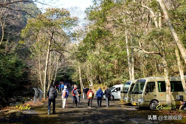 影记 | 衢州钱江源国家森林公园