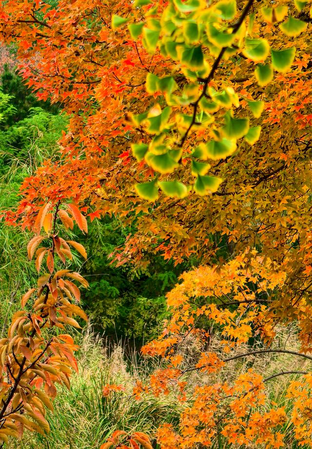 浞景无边，快乐亦无边~