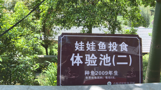 哇😝~宜宾18℃的避暑天堂藏不住了！