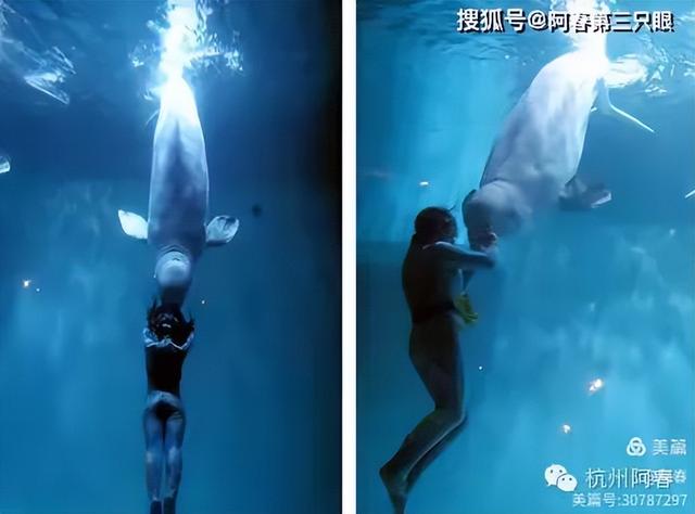 大连 之海洋世界