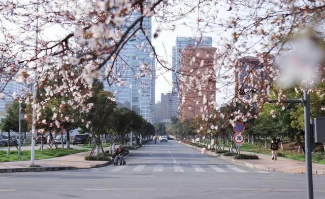 局长到访！中国冶金地质总局山东局，与“双一流”成理再联手
