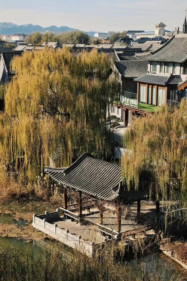 知否知否？应是山东小生！