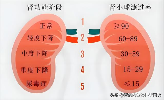 隐血1+别焦虑！医生讲清是否严重，结合指标判断更放心