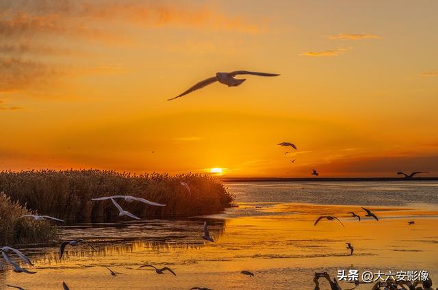 六安摄影师跨越山河万里 定格中国好风光