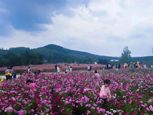 田曦薇、胡一天打卡西海岸！约你来玩！