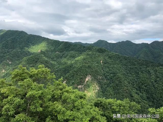 秋天，邀你看一看藏在黑河山间的一场秘境童话