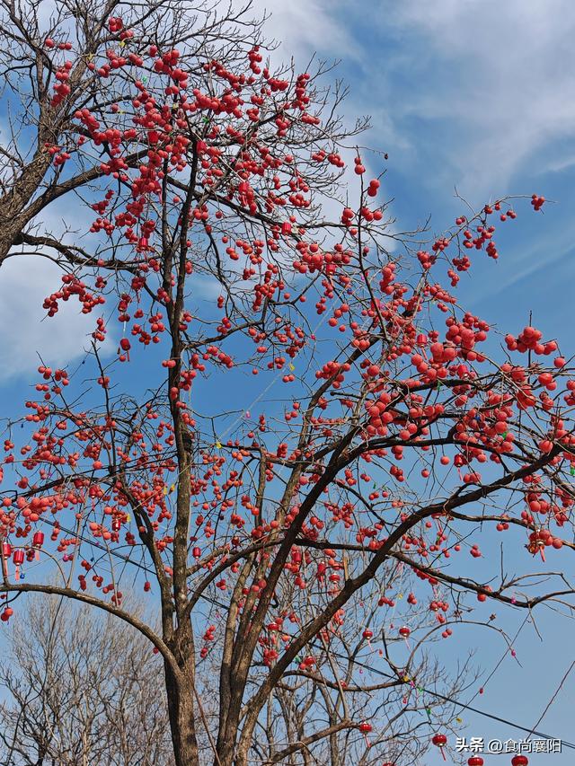 水与墨的交界：天鹅之城，三门峡六记