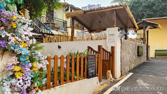 出游第6站-衡阳：东洲岛、石鼓书院、保卫里。阴雨天，游了个寂寞