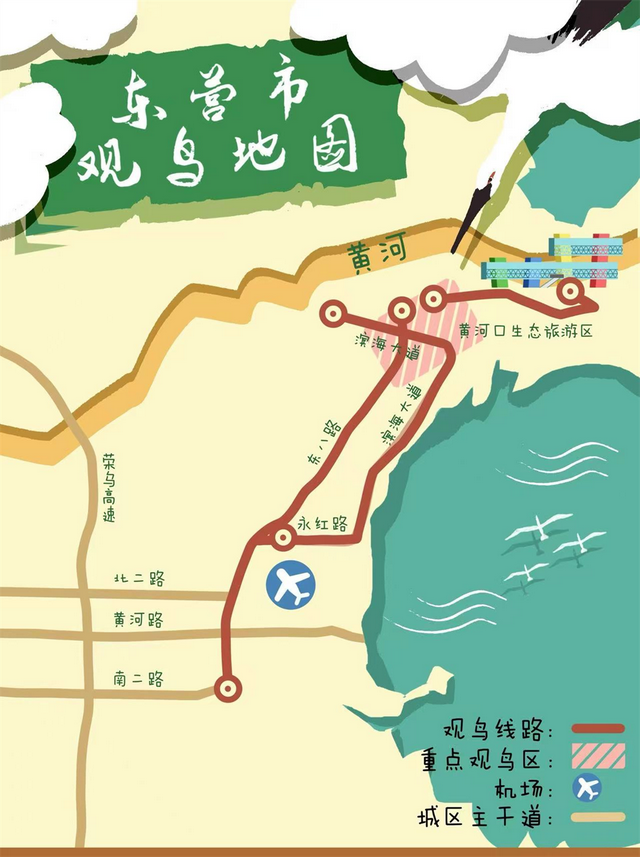 “鸟浪”来了！这份观鸟攻略请收好