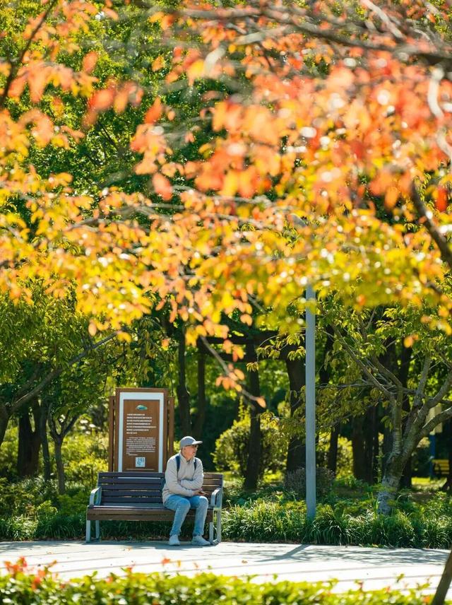 打卡限时浪漫，一键收藏隐珠街道最美秋色！