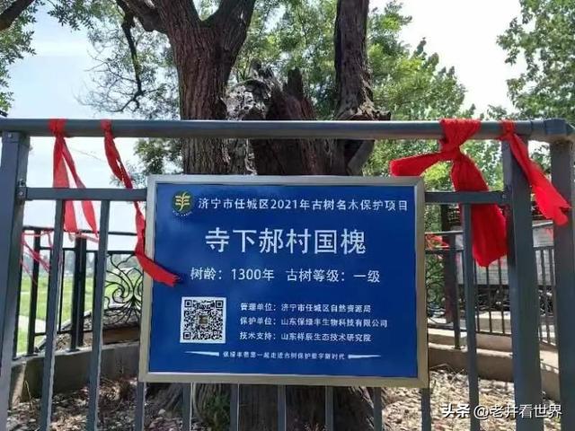 远去的时光 文‖井明新