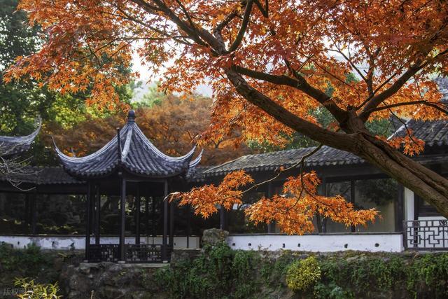 12月适合去的7个旅行地，美景交织，色彩鲜艳的明媚冬日