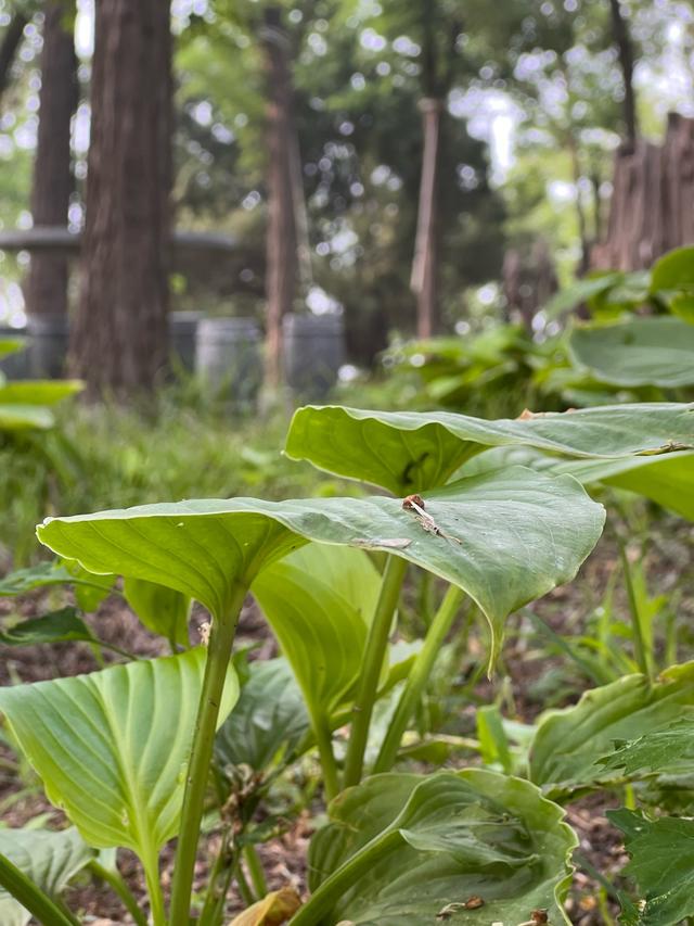 为什么越来越多的年轻人，喜欢上了露营？