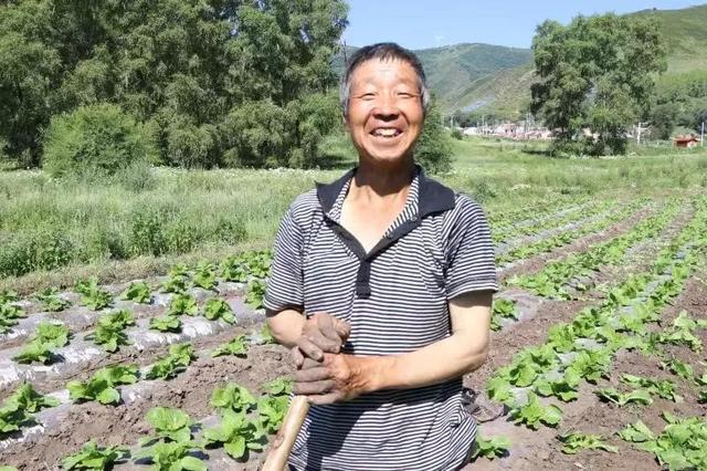 杨成:表弟的那块净土