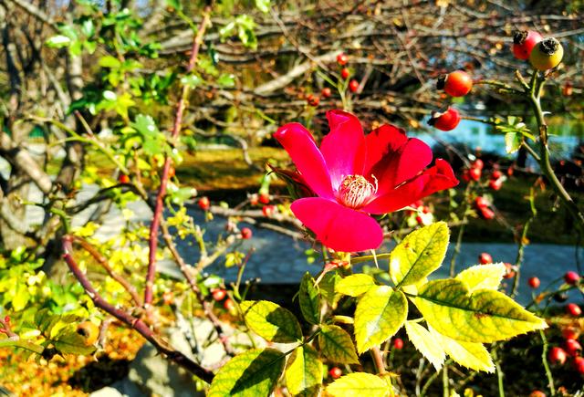 狂风散尽现碧空 北京市民陶然亭公园共赴“大风蓝”之约