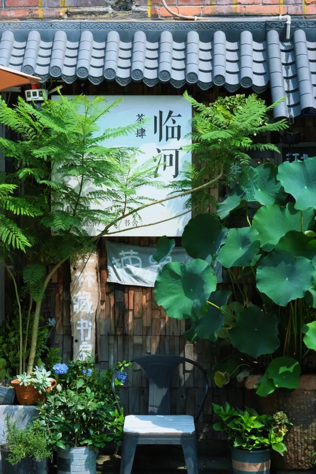 双流这8家秘境小院，来了根本不想走