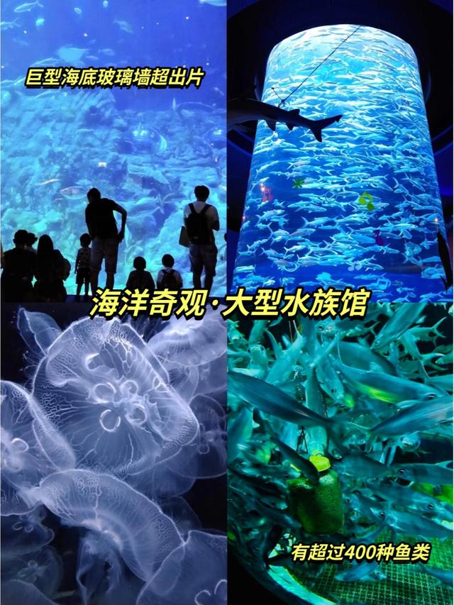 适合情侣蜜月的7个浪漫地，好玩不贵，一季挑一个爱意满满！！