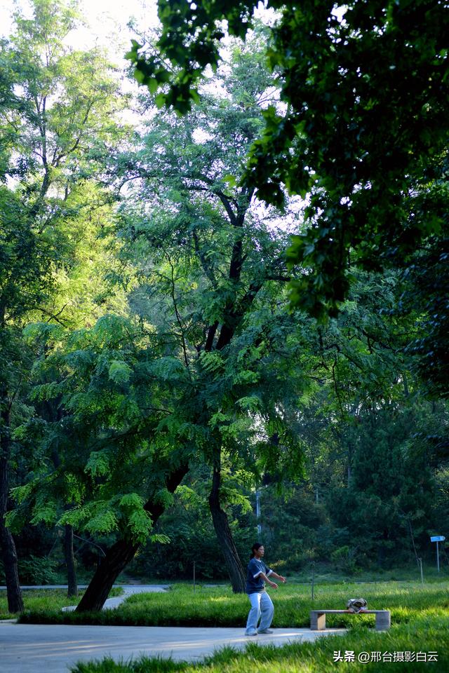 达活泉公园绿草如茵，碧波荡漾（图）