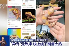 有些“异宠”不宜宠 专家：购买饲养前要做到“三查”图片