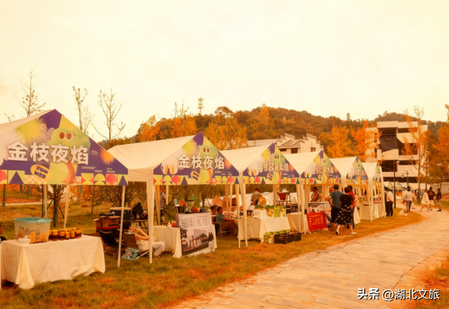 一叶知秋，一梦千年：千年银杏谷"金枝节"邀您入画!