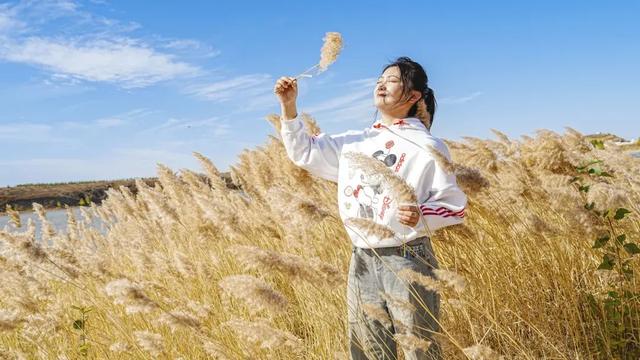 秋天和芦苇绝配🤠