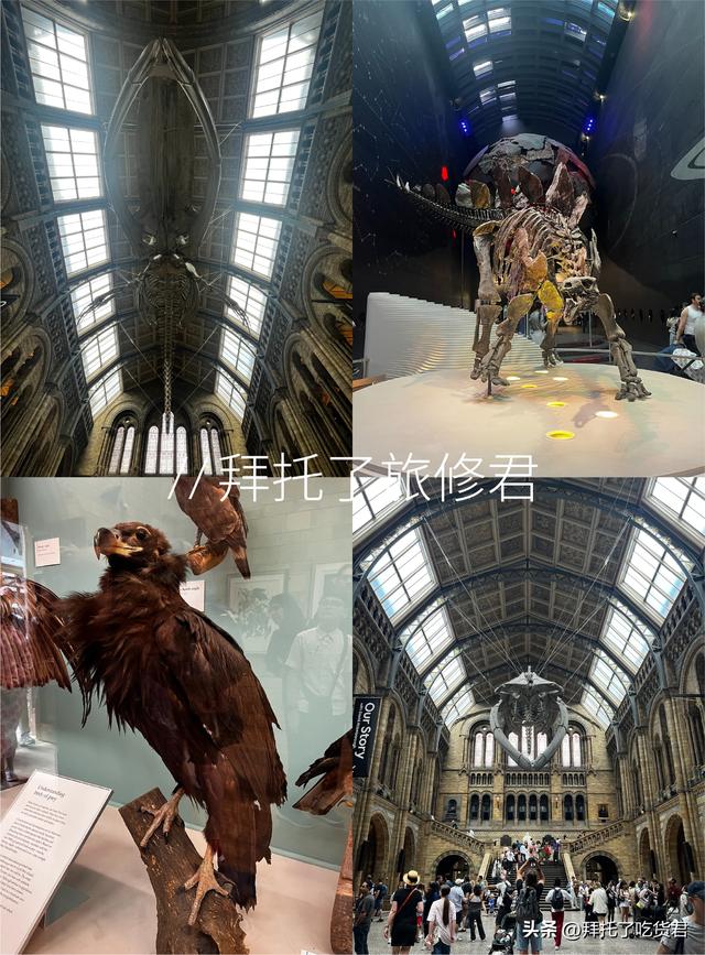 英国自然历史博物馆：一场穿越时空的旅程