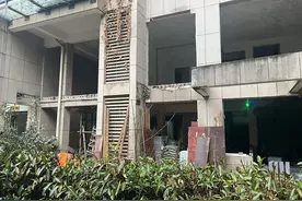 共同缔造美好家园 洪山区依法拆除违建6700余平方米图片