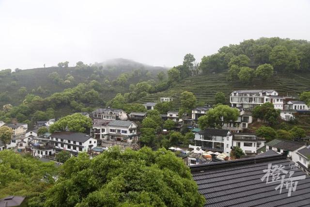 花胶煲干菜 2026年花胶菜干汤功效与禁忌