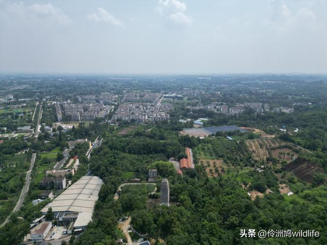 成都徒步（68）·彭州篇⑮佛山古寺&镇国寺宝塔