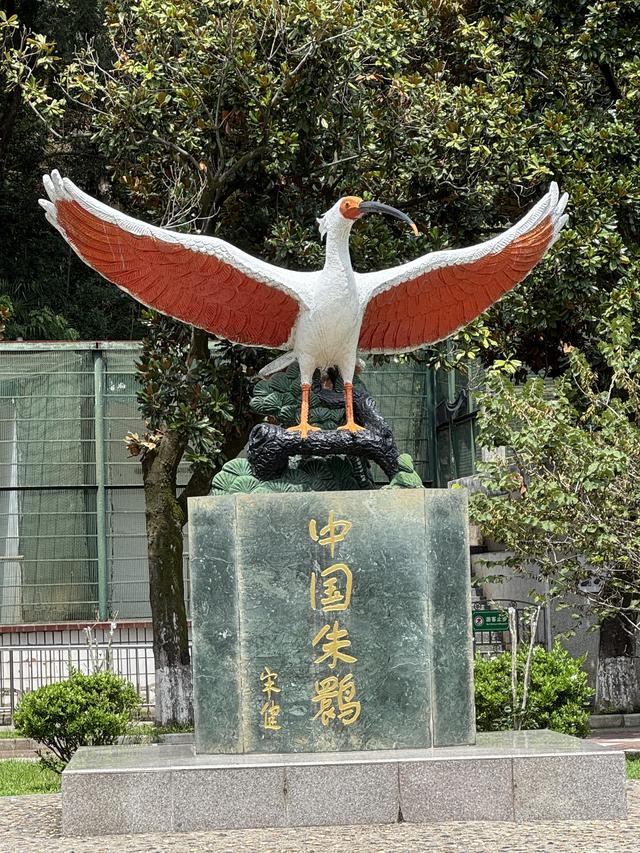 香港记者团回到汉家，建议汉中开设直航香港