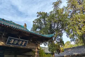 “5.19中国旅游日”太原崛围山博物馆免票图片