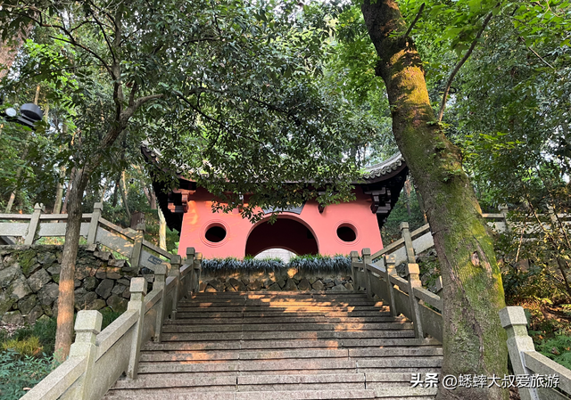 被杭州“药祖圣地”迷住了，一到晚上美如仙境，关键还能免费游！