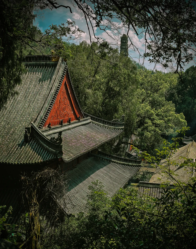 浙江又一古寺火了，被评上5A之后，立即取消门票，且拒绝商业化！
