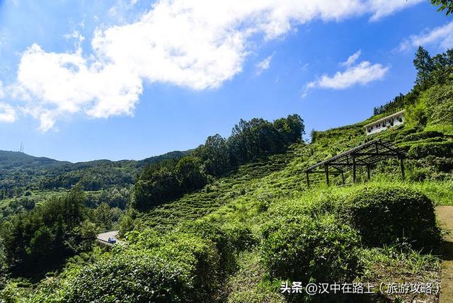 登高望远赏秋收