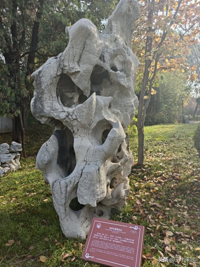 无为在歧路，漫游青州城