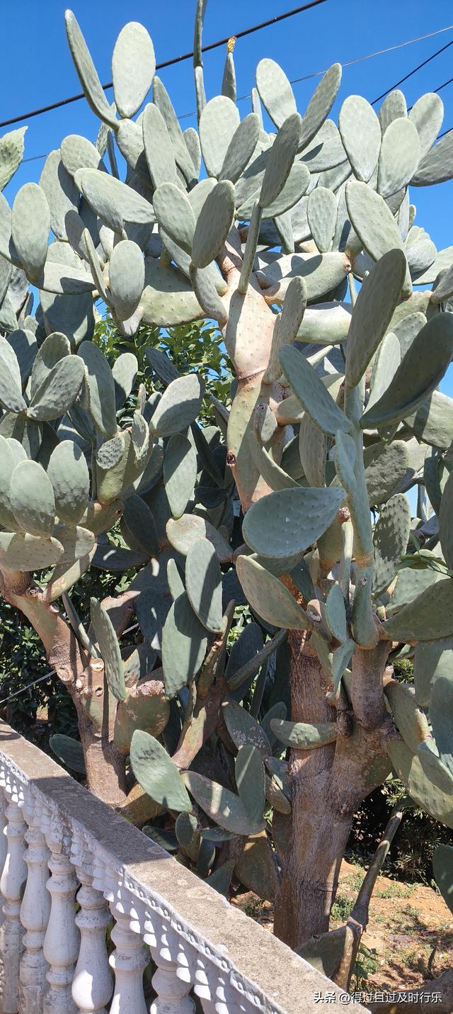 品味鄱阳湖大闸蟹，感受秋天的鲜美