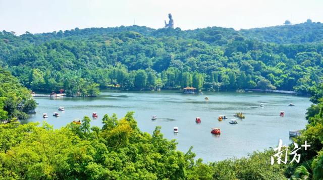 西樵镇：打造人文经济示范镇，湾区文旅新极点正崛起