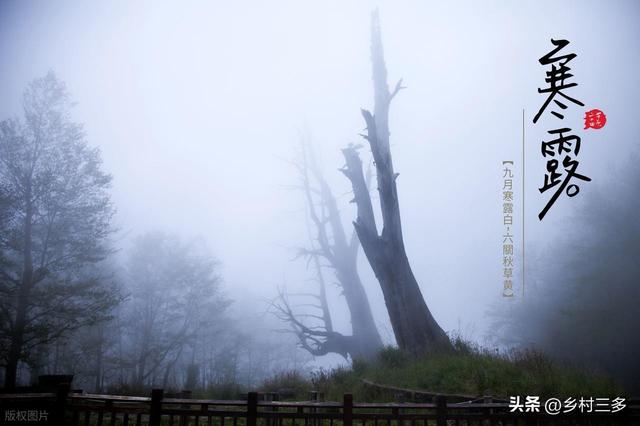 今日寒露，老人说最怕“寒露一日雨”，寒露下雨有啥预兆？